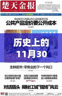 揭秘,历史上的西极冰最新作品——11月30日篇章重磅出炉!