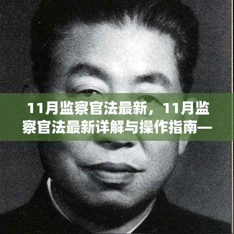 11月监察官法最新详解与操作指南,初学者与进阶者的必备手册