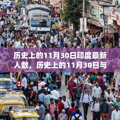 揭秘印度人口变迁,历史上的11月30日深度解析与观点阐述