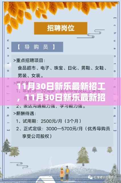 11月30日新乐最新招工,11月30日新乐最新招工应聘全流程指南,从入门到成功