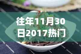 『揭秘2017年11月30日热门凉菜图片背后的故事与影响,回味经典瞬间』