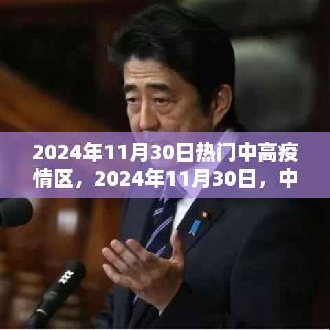 中高疫情区回望与反思,2024年11月30日的视角