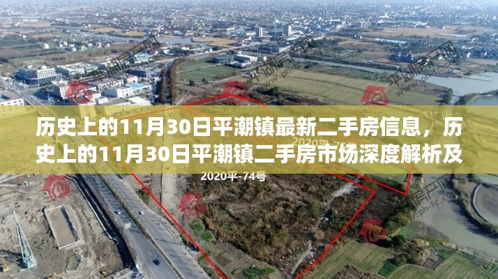 历史上的11月30日平潮镇二手房市场深度解析及最新信息概览,深度解读市场趋势与最新房源信息。