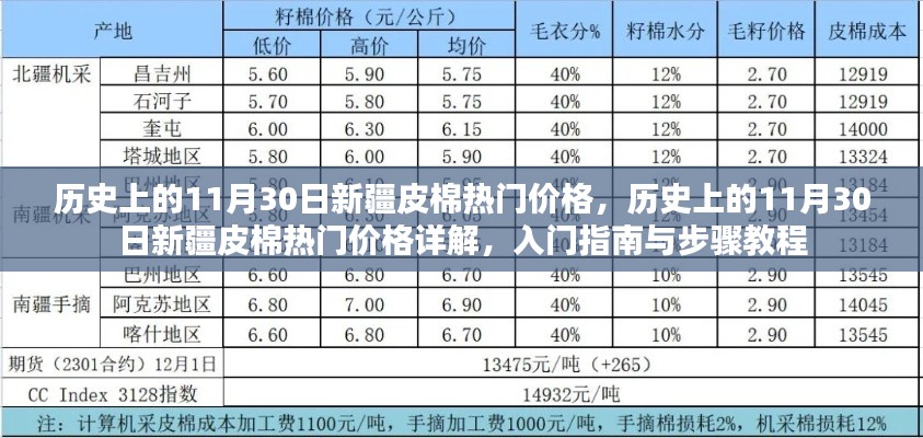 历史上的11月30日新疆皮棉价格详解,入门指南与最新动态