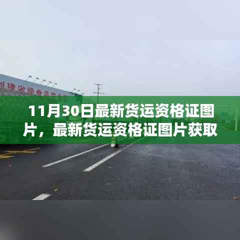 最新货运资格证图片获取攻略,11月30日版全解析