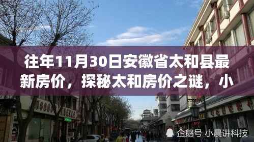 太和县房价揭秘,小巷特色与独特环境下的房价奇景,最新房价分析(时间,往年11月30日)