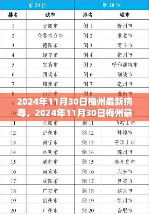 2024年11月30日梅州最新病毒深度解析报告