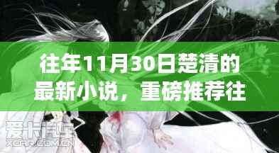 楚清最新小说揭秘,揭秘重磅新作大解密,11月30日独家呈现