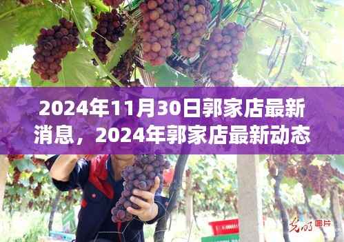 2024年11月30日郭家店最新消息,2024年郭家店最新动态,展望未来的发展与变革