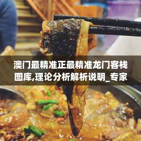 澳门最精准正最精准龙门客栈图库,理论分析解析说明_专家版5.173-1