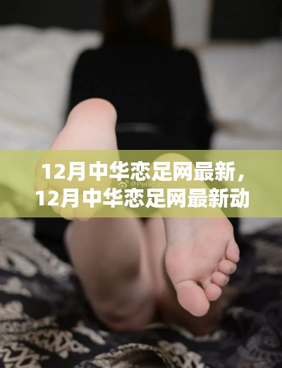 12月中华恋足网最新动态下的多元观点探析