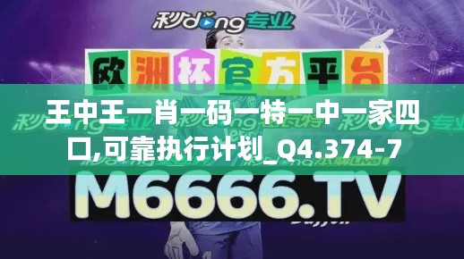 王中王一肖一码一特一中一家四口,可靠执行计划_Q4.374-7