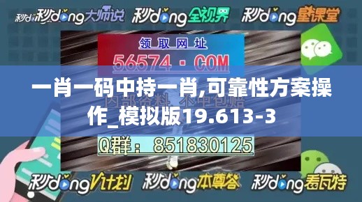 一肖一码中持一肖,可靠性方案操作_模拟版19.613-3