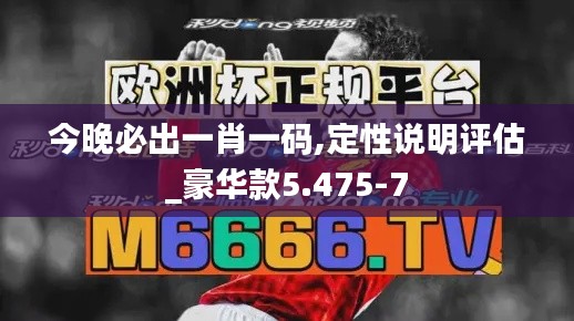 今晚必出一肖一码,定性说明评估_豪华款5.475-7