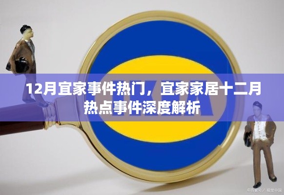 宜家十二月热点事件深度解析,宜家家居的热门事件回顾