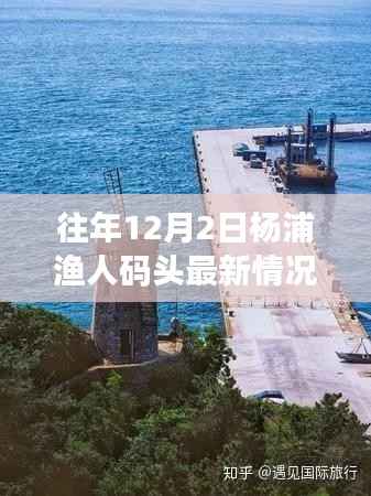 独家揭秘,往年12月2日杨浦渔人码头最新风情与变化——领略别样渔港魅力!