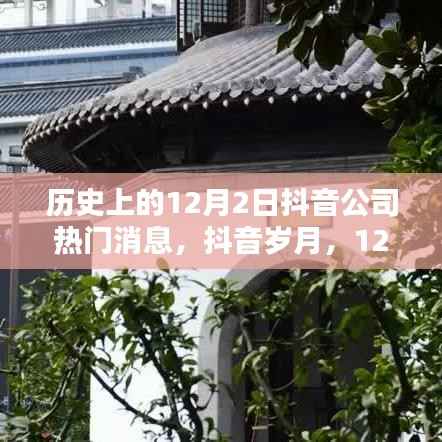抖音岁月,揭秘历史上的十二月二日抖音公司热门时刻