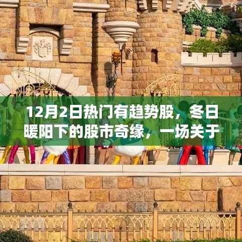 冬日暖阳下的股市奇缘,揭秘12月2日热门趋势股故事