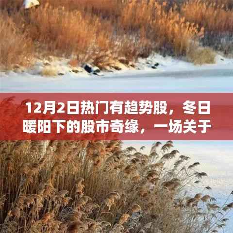 冬日暖阳下的股市奇缘,揭秘12月2日热门趋势股故事