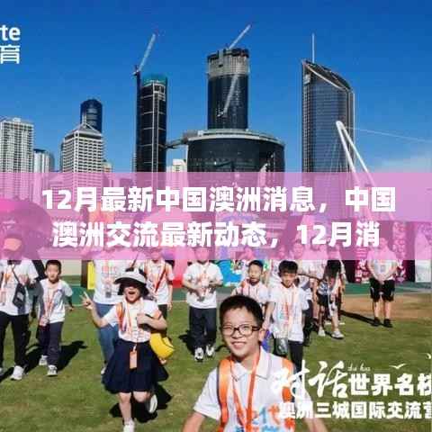 中国澳洲交流最新动态,深度解析与行动指南(12月版)