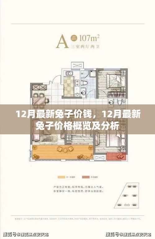 12月最新兔子价格概览及分析,市场走势与影响因素解析