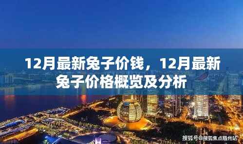 12月最新兔子价格概览及分析,市场走势与影响因素解析