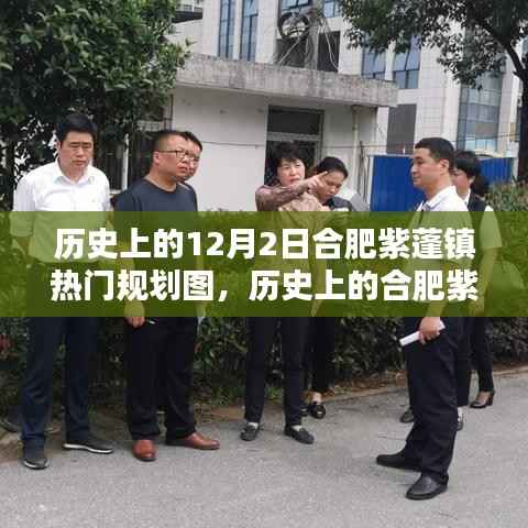 深入了解与探索,历史上的合肥紫蓬镇热门规划图揭秘