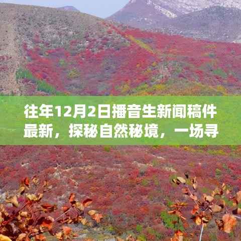 探秘自然秘境,寻找内心平静的旅程,最新播音生新闻稿件分享