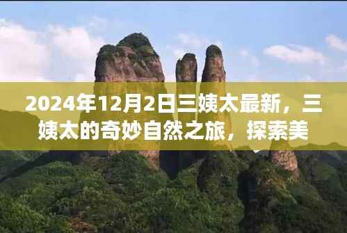 三姨太的奇妙自然之旅,探索美景,寻找内心宁静的旅程(2024年12月2日最新)