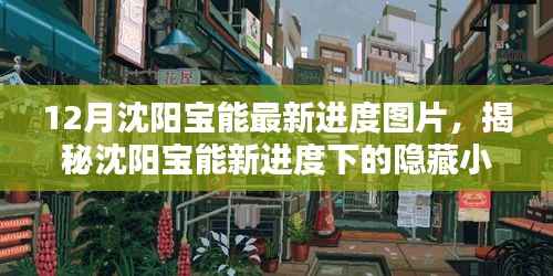 揭秘沈阳宝能最新进度,小巷特色小店与环境魅力探索!