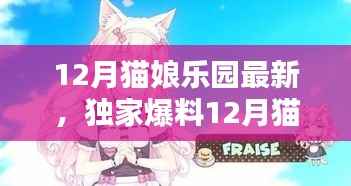 独家爆料,12月猫娘乐园全新篇章,萌趣无限,心动体验!