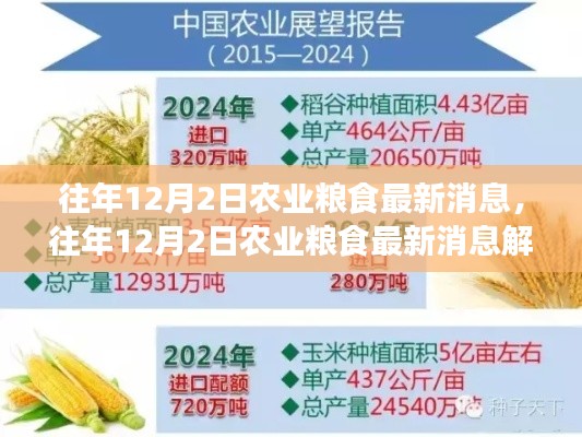 往年12月2日农业粮食最新消息解读与应对策略指南,消息速递与行动指南