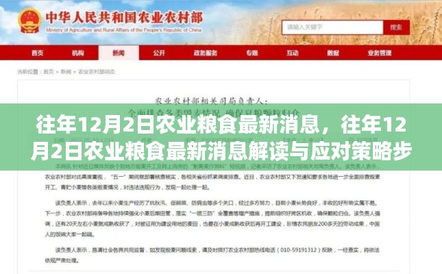 往年12月2日农业粮食最新消息解读与应对策略指南,消息速递与行动指南