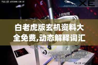 白老虎版玄机资料大全免费,动态解释词汇_XE版71.245-1