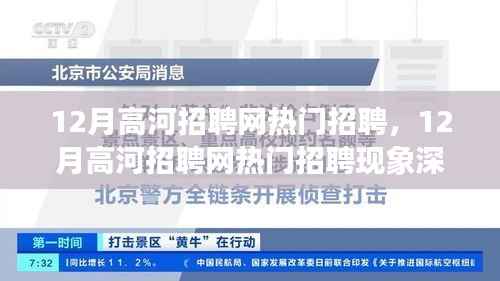 12月高河招聘网热门招聘现象深度解析与观点聚焦