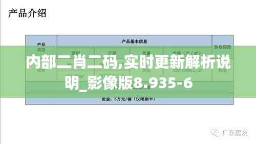 内部二肖二码,实时更新解析说明_影像版8.935-6