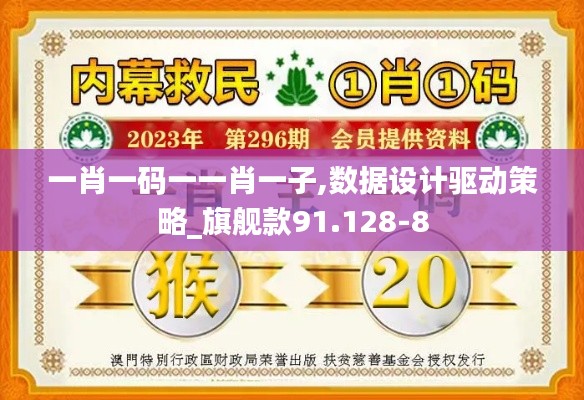 一肖一码一一肖一子,数据设计驱动策略_旗舰款91.128-8
