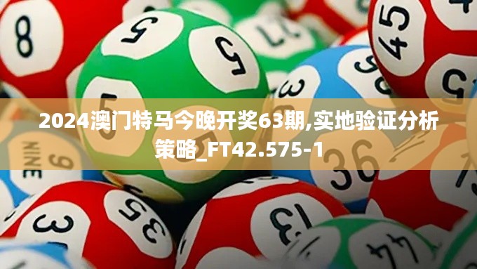2024澳门特马今晚开奖63期,实地验证分析策略_FT42.575-1