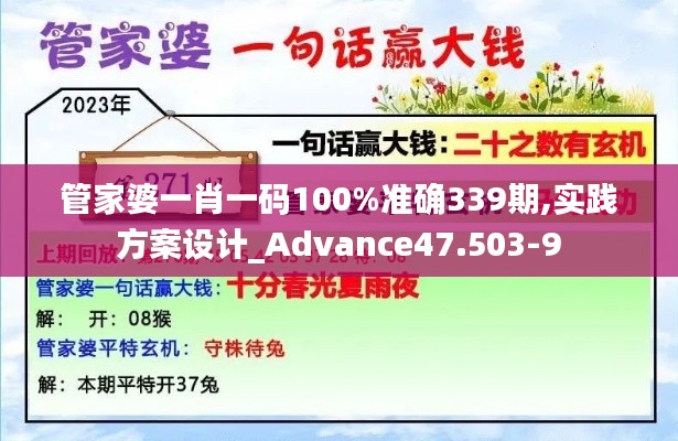 管家婆一肖一码100%准确339期,实践方案设计_Advance47.503-9