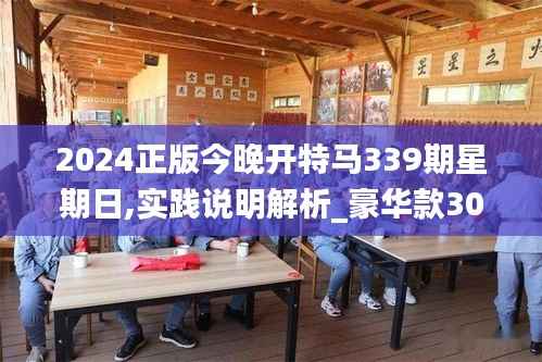 2024正版今晚开特马339期星期日,实践说明解析_豪华款30.369-2