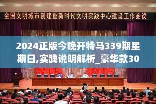 2024正版今晚开特马339期星期日,实践说明解析_豪华款30.369-2