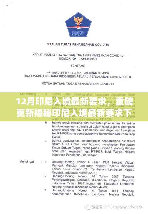 揭秘印尼入境最新科技革新,前沿科技产品与体验的魅力改变生活!