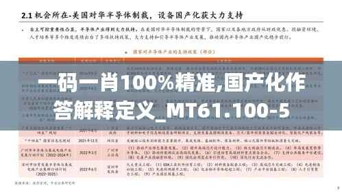 一码一肖100%精准,国产化作答解释定义_MT61.100-5