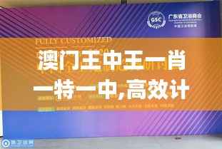 澳门王中王一肖一特一中,高效计划设计_HDR版35.383-8