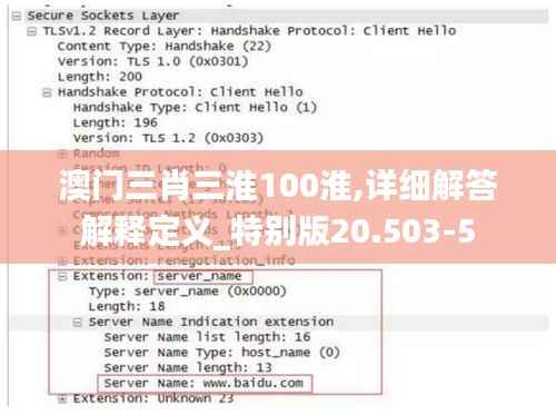 澳门三肖三淮100淮,详细解答解释定义_特别版20.503-5