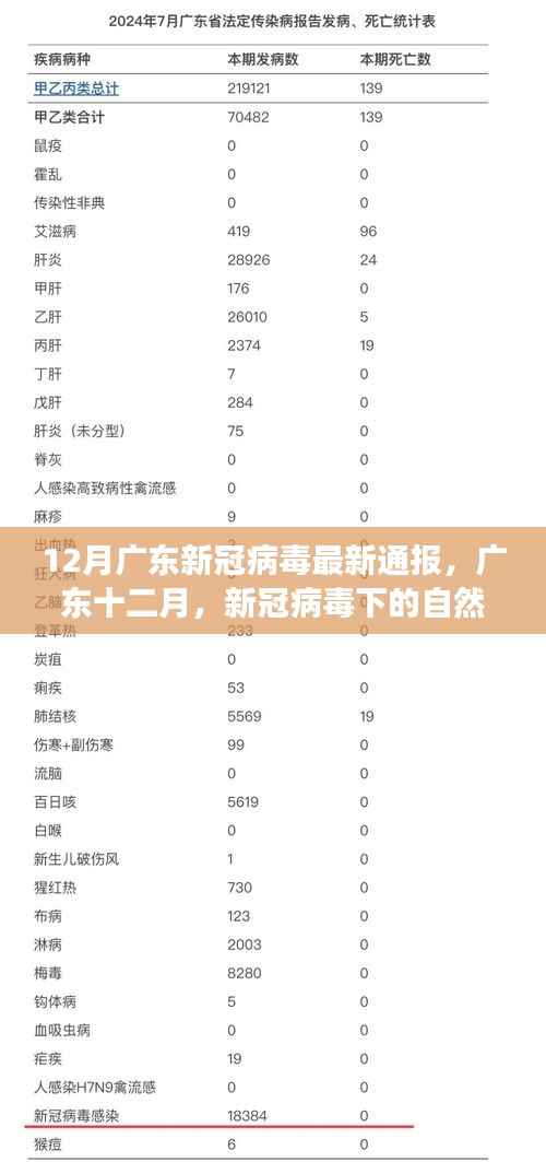广东十二月新冠病毒最新通报,自然探索之旅寻找内心宁静绿洲