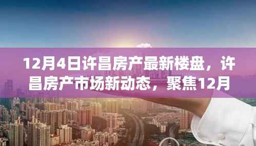 许昌房产市场新动态,聚焦最新楼盘动向的多元解读(12月4日更新)