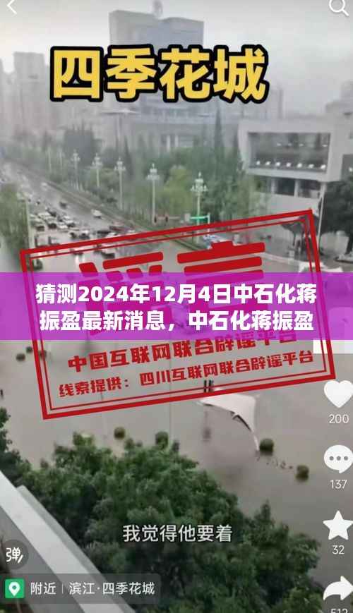 中石化蒋振盈最新动态揭晓,聚焦2024年12月4日的消息与行动