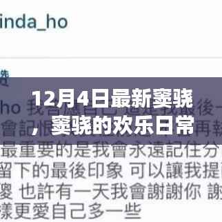 窦骁的欢乐日常,12月4日的温馨足迹