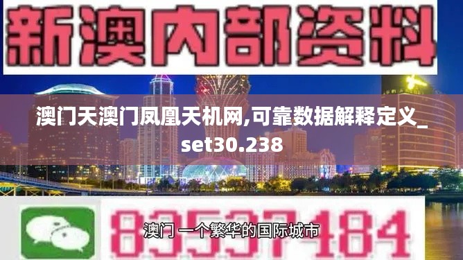 澳门天澳门凤凰天机网,可靠数据解释定义_set30.238
